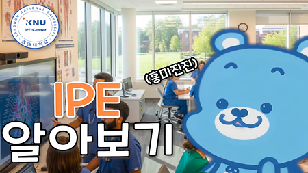 IPE 알아보기